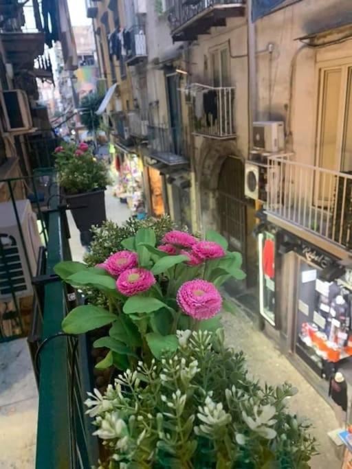 La Casa Di Patta A Spaccanapoli Buitenkant foto