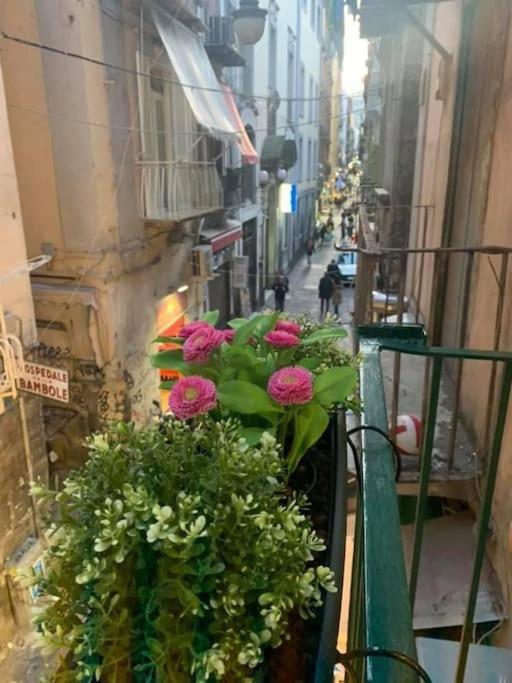 La Casa Di Patta A Spaccanapoli Buitenkant foto